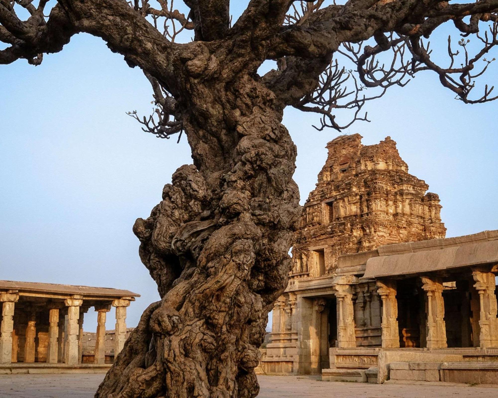 Hyatt Place Hampi Exteriör bild