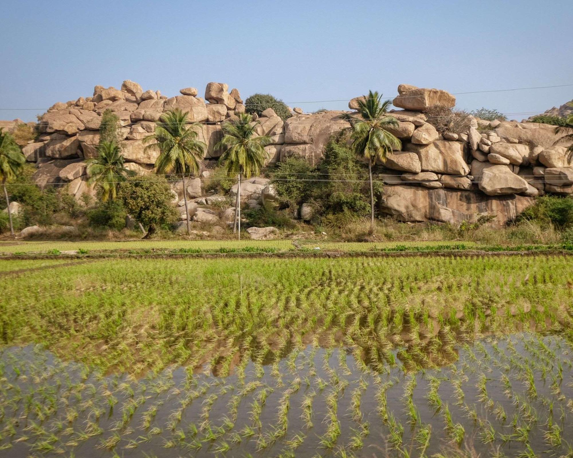 Hyatt Place Hampi Exteriör bild